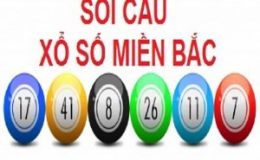 lo-de-mien-bac-1