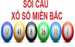 lo-de-mien-bac-1